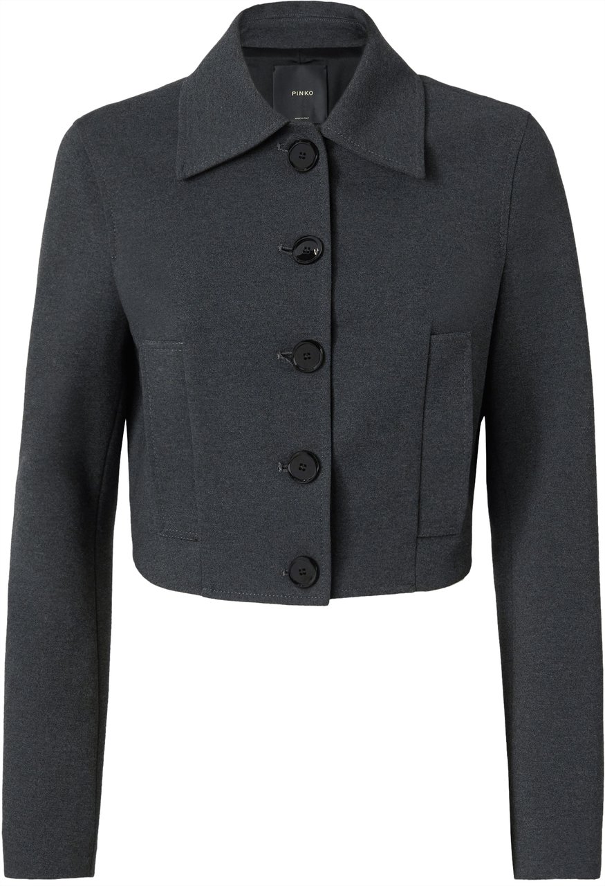 Pinko Jackets Grigio Corvo Groen