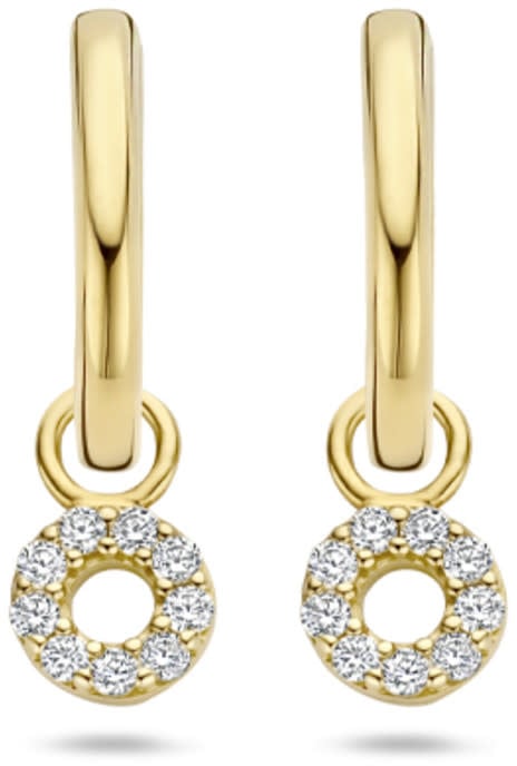 Blush Blush Oorbedel 9065YZI 14k Geelgoud Circle met zirkonia Divers