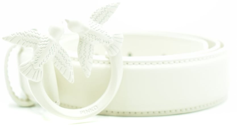 Pinko Belts White Wit