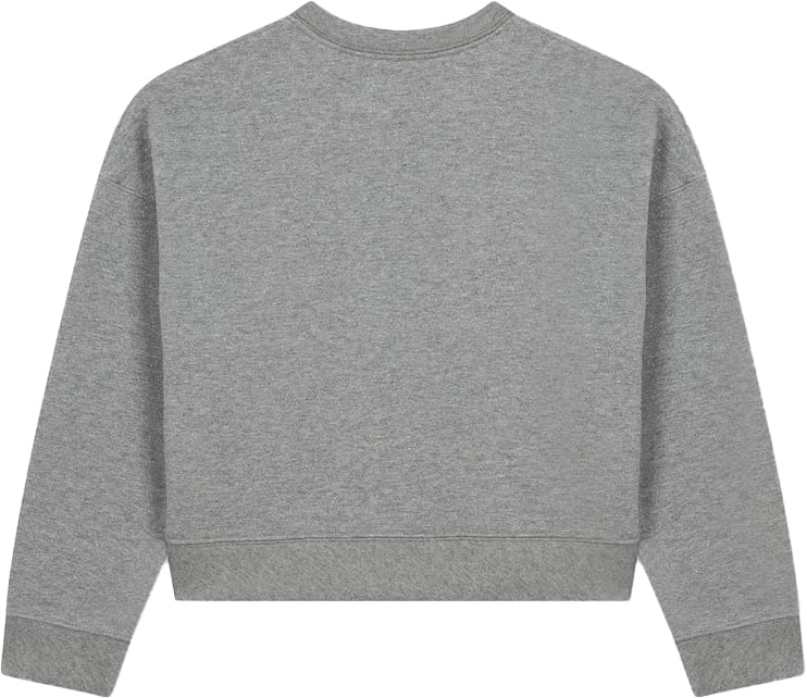 Zadig et Voltaire Sweater Grijs