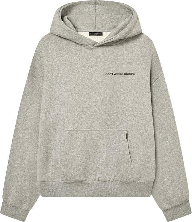 Don't Waste Culture Ray hoodie Grijs