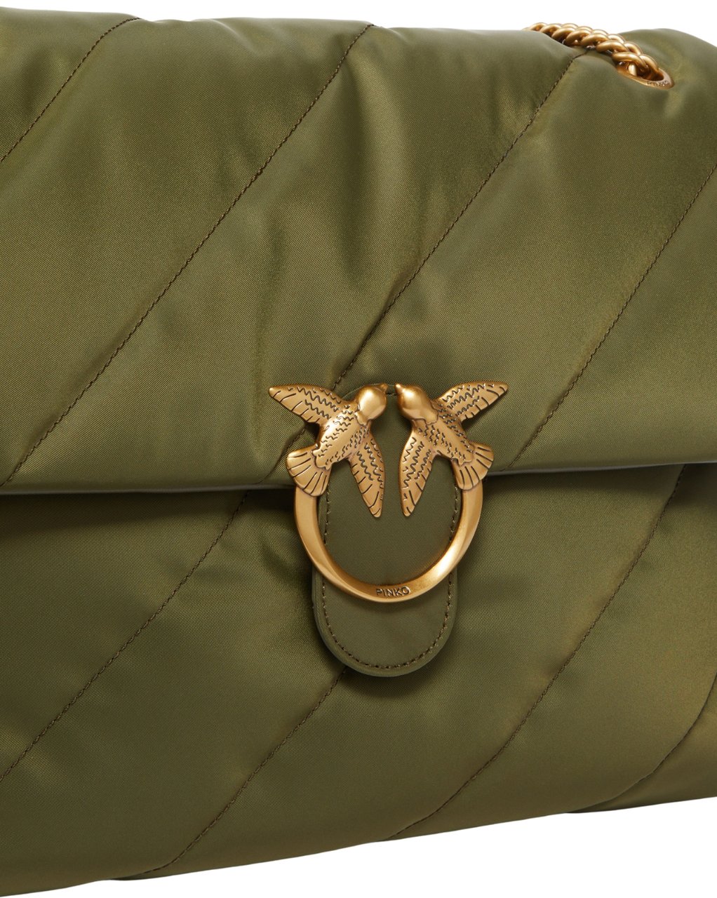 Pinko Bags Green Groen