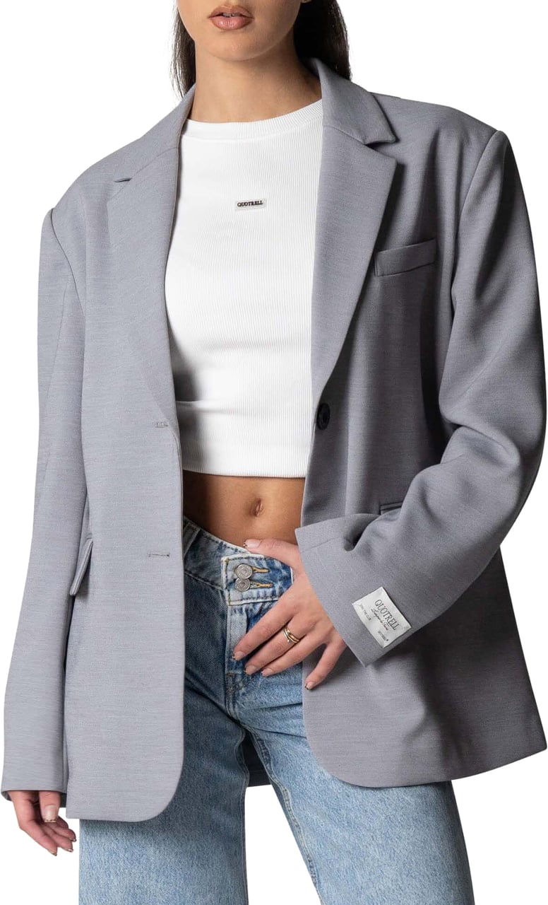 Quotrell Fee Oversized Blazer | Light Grey/white Grijs
