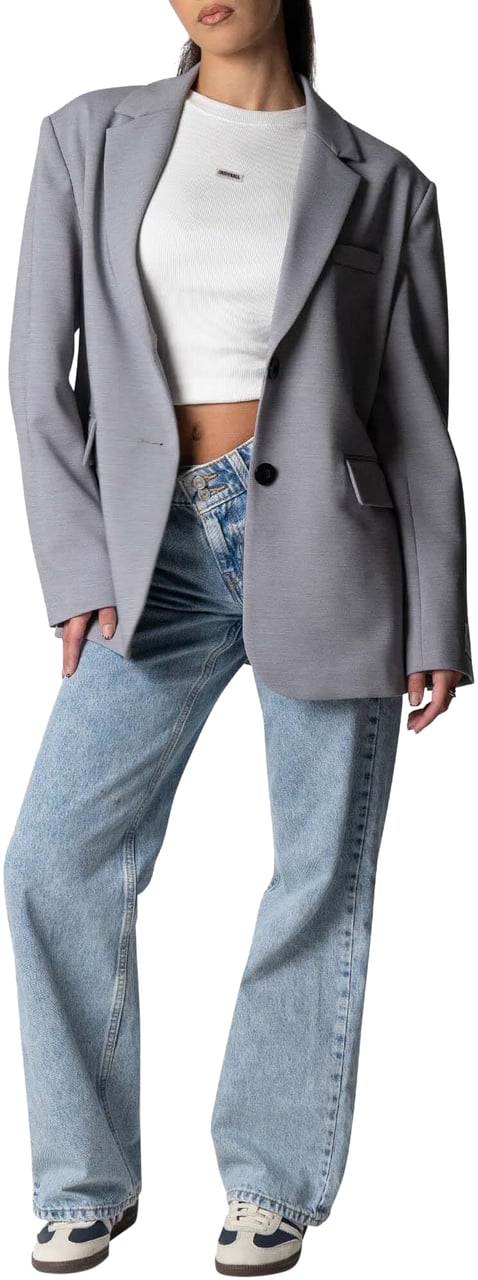 Quotrell Fee Oversized Blazer | Light Grey/white Grijs