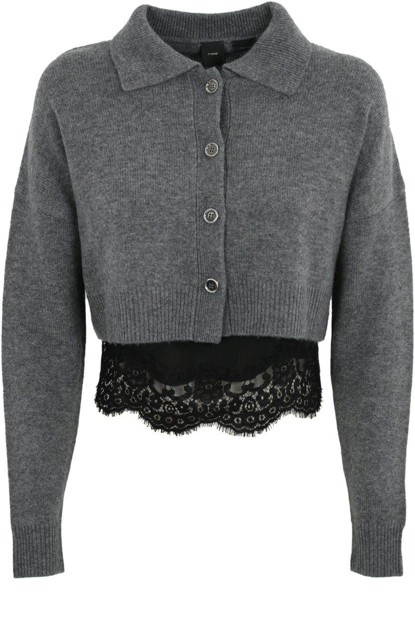 Pinko Sweaters Grey Grijs