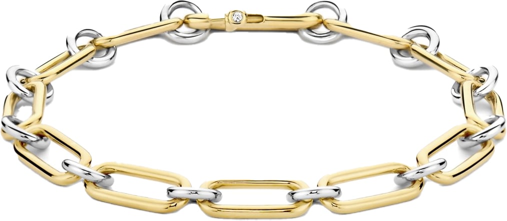 Ti Sento Ti Sento Armband 23056ZY Zilver Bi-color Maat M 18cm Divers