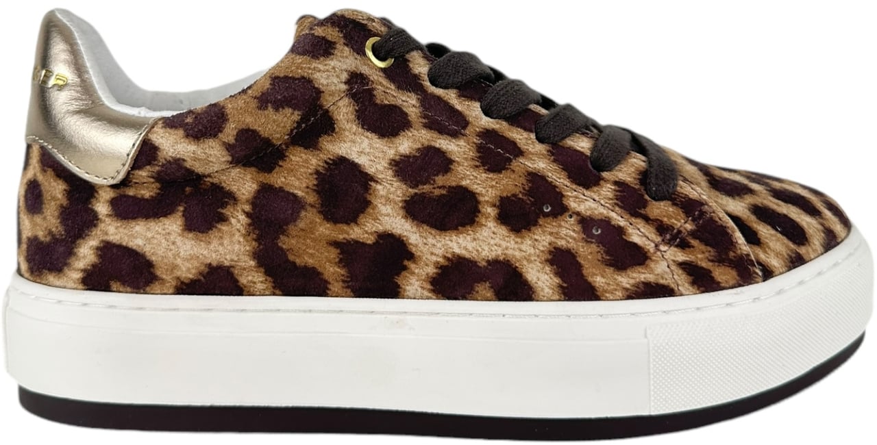 Kurt Geiger London Dames Sneakers Bruin