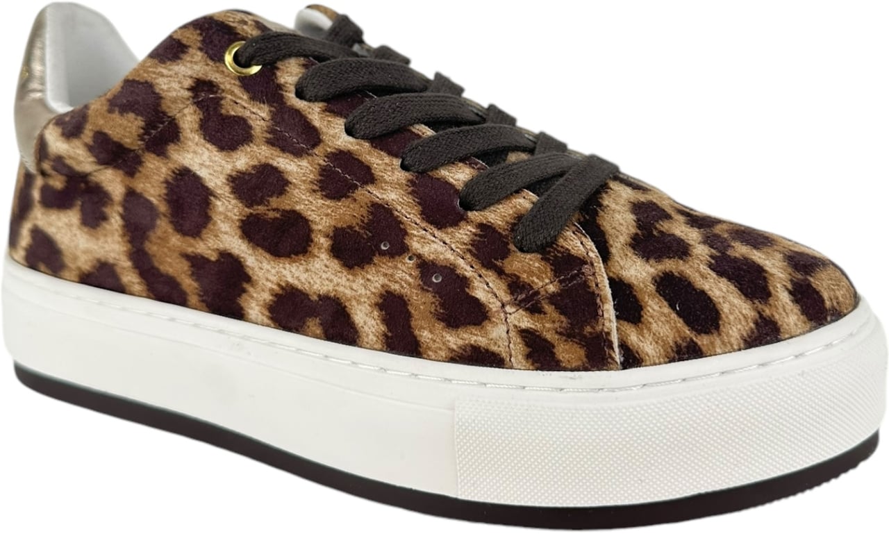 Kurt Geiger London Dames Sneakers Bruin