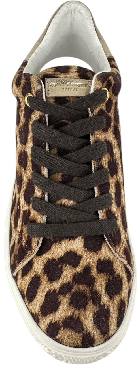 Kurt Geiger London Dames Sneakers Bruin