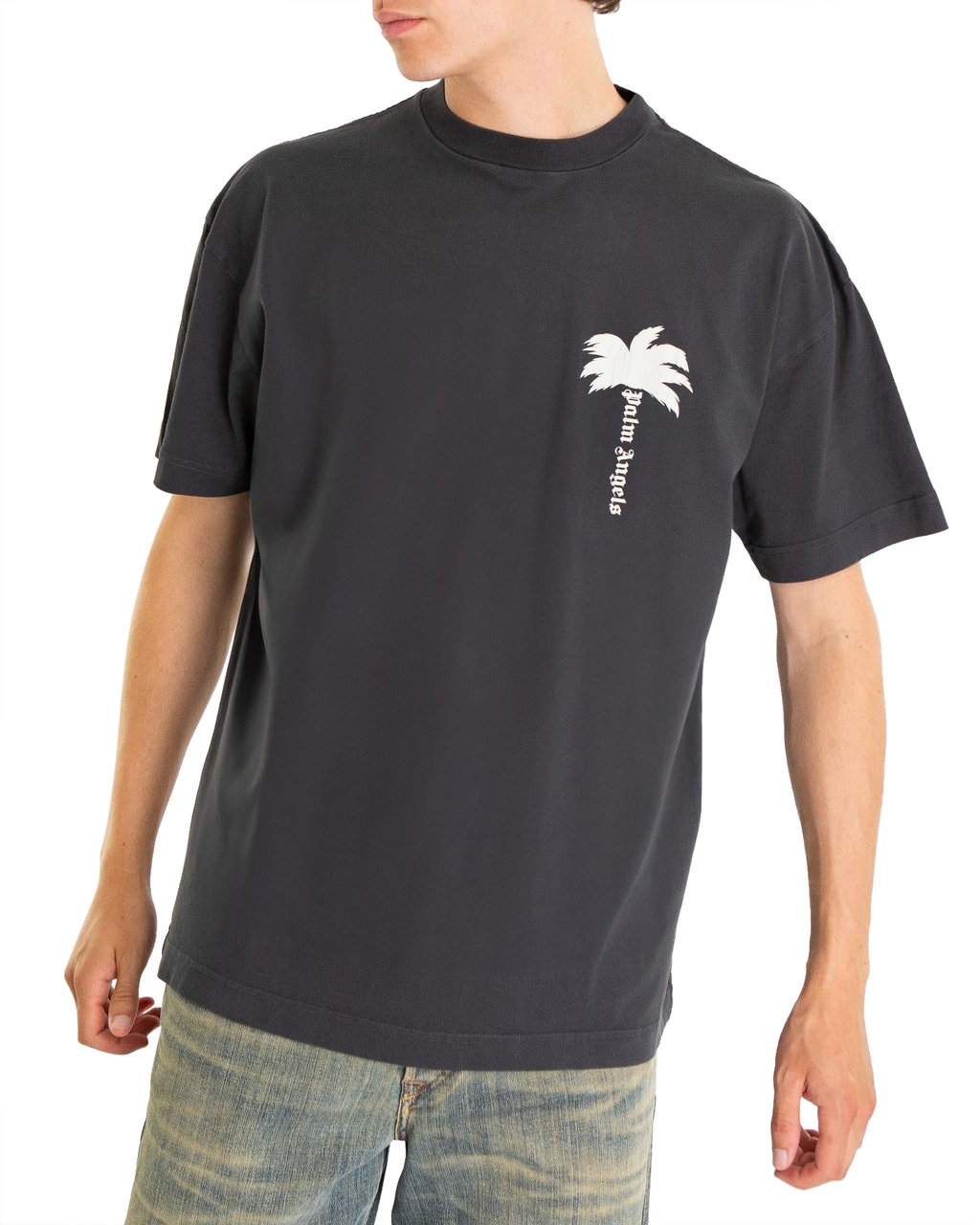 Palm Angels Heren The Palm T-Shirt Grijs Grijs