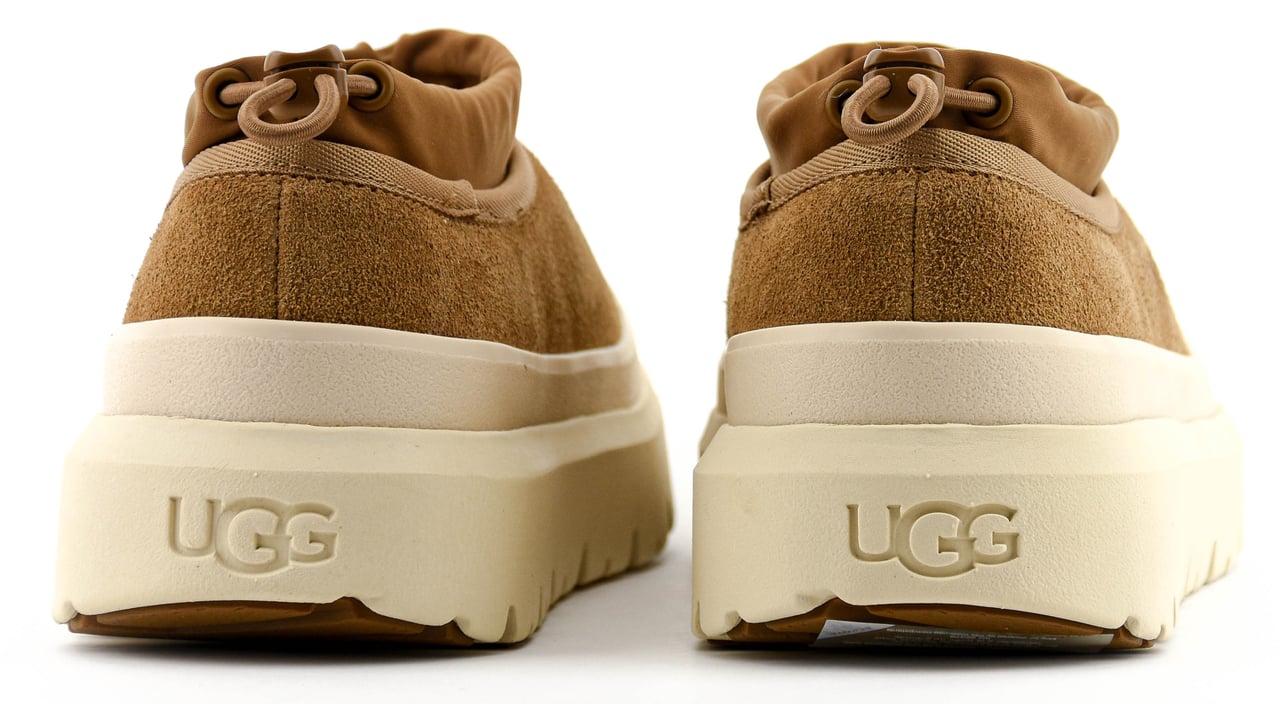 UGG Tasman Weather Chestnut Bruin