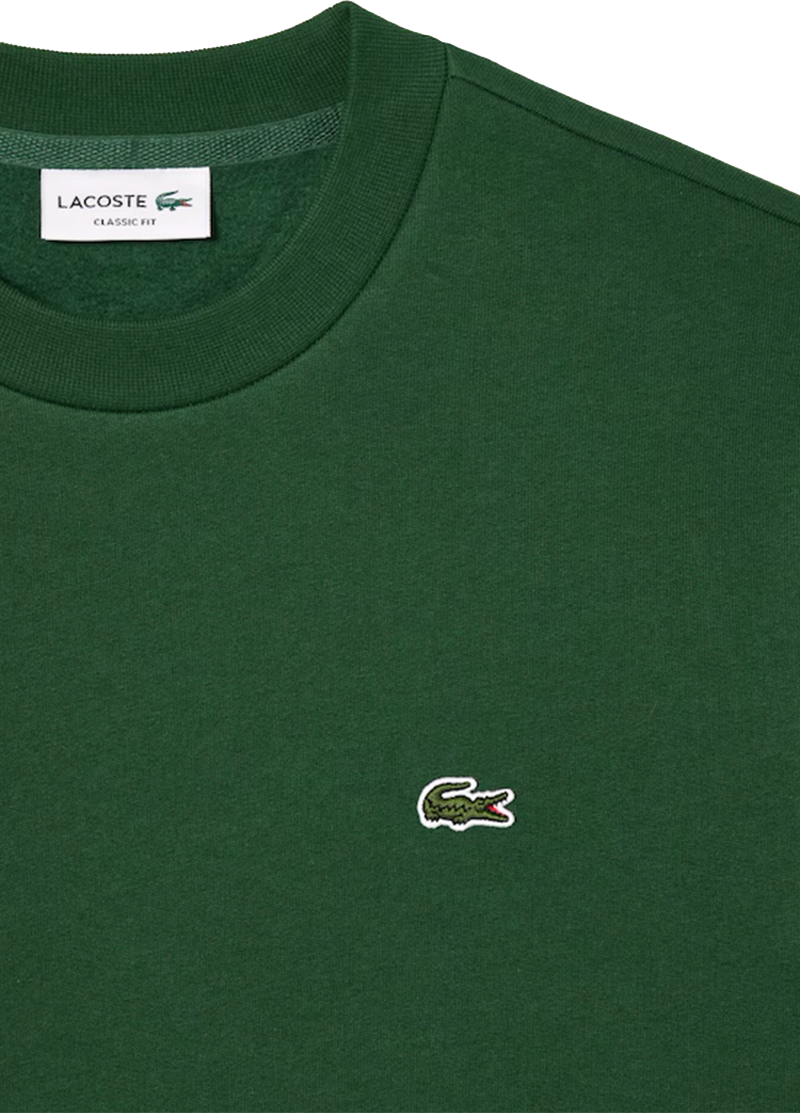 Lacoste Sweaters Green Groen