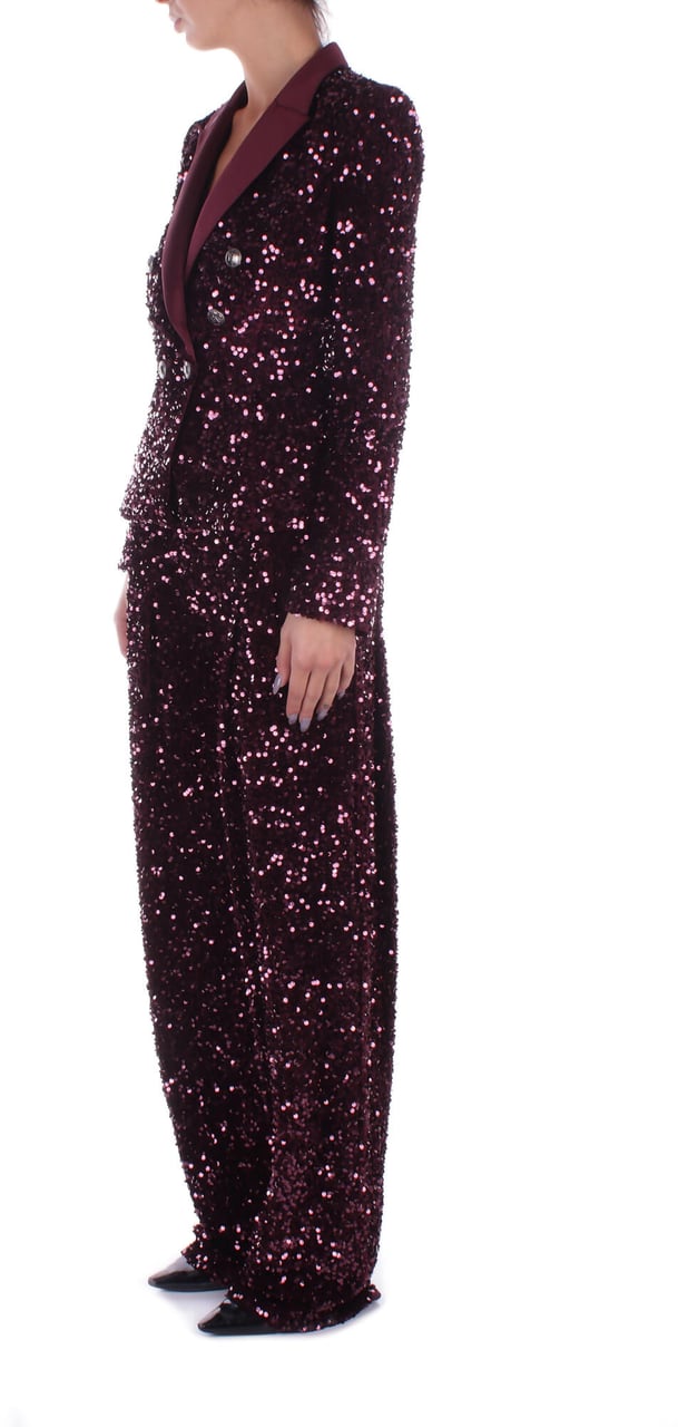 Elisabetta Franchi Trousers Bordeaux Rood