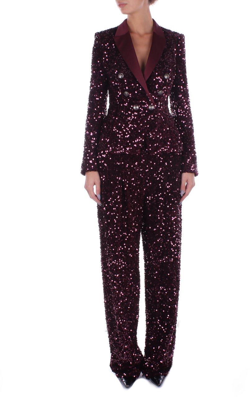 Elisabetta Franchi Trousers Bordeaux Rood