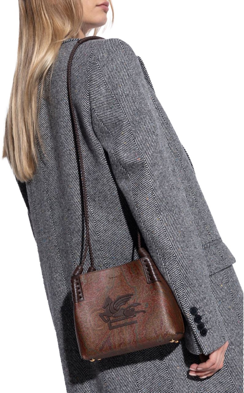 Etro Etro Bags.. Brown Bruin