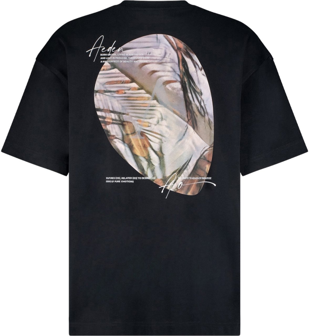 Aeden Toluca Tee Black Zwart