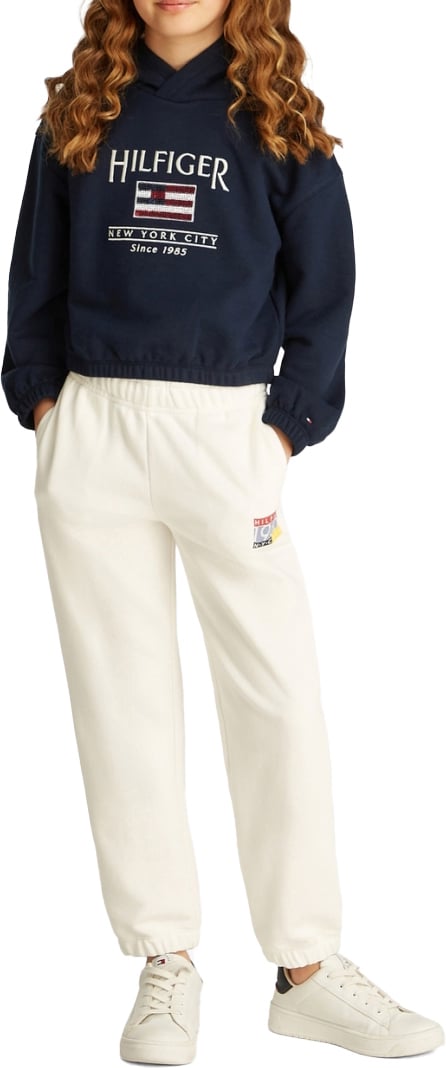 Tommy Hilfiger Sequin Flag Hoodie Blauw