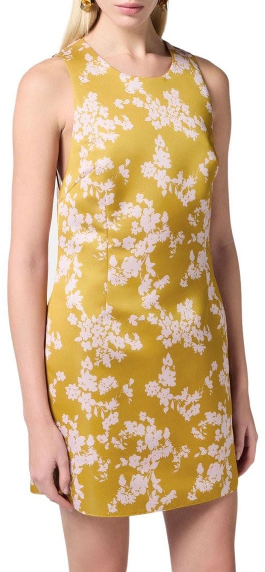 Elisabetta Franchi Dresses Curry Geel