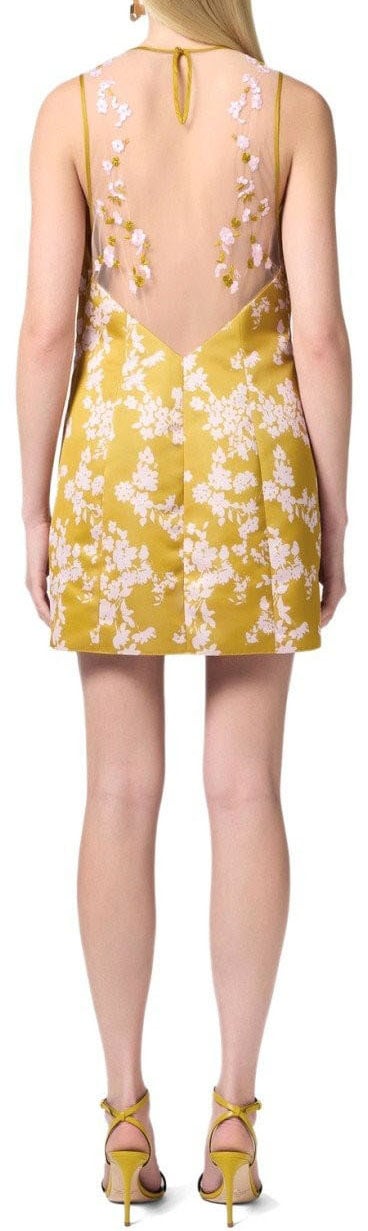 Elisabetta Franchi Dresses Curry Geel