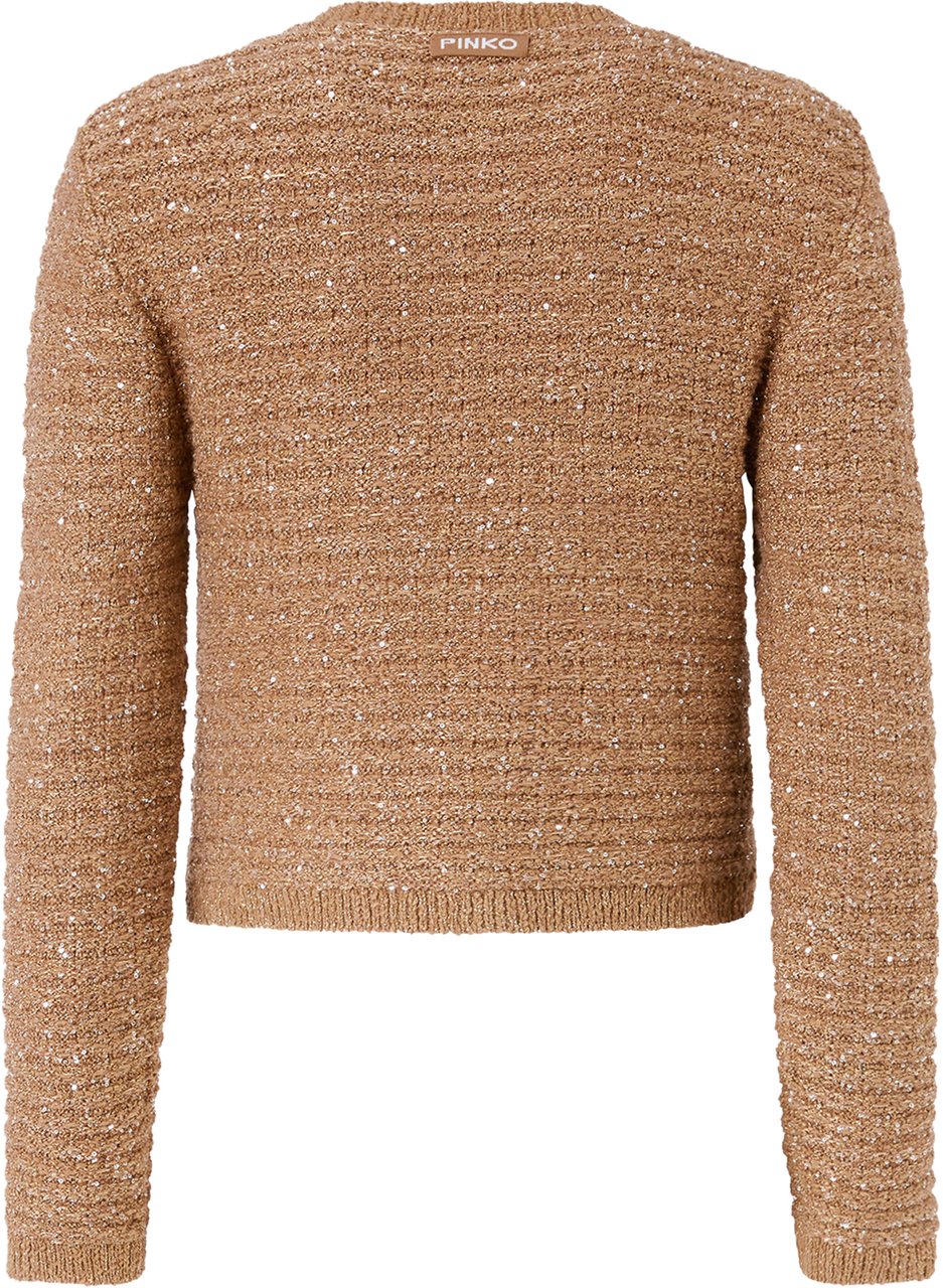 Pinko jas beige Beige