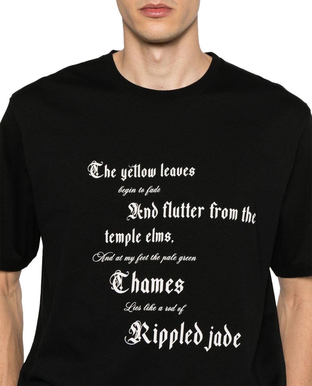 Alexander McQueen T-Shirts And Polos Black Zwart