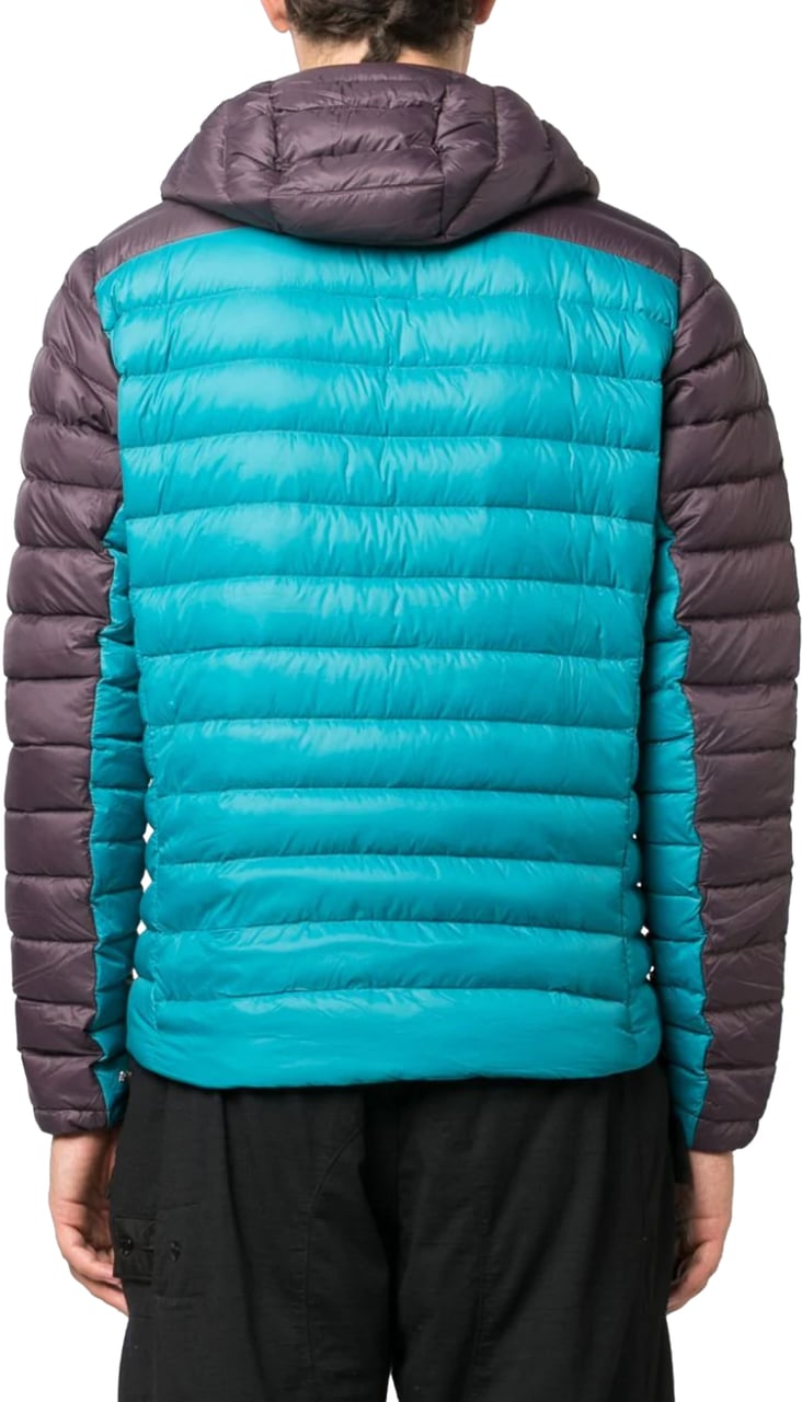 Patagonia Down Sweater Hoody Jacket Divers