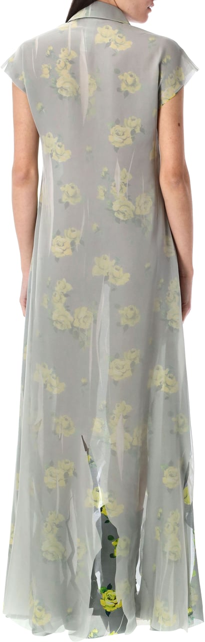 Acne Studios Dranee Vintage Rose Print Long Dress Yellow Grey Grijs