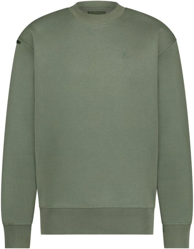 Aeden Viggo Sweater Beetle Green Groen