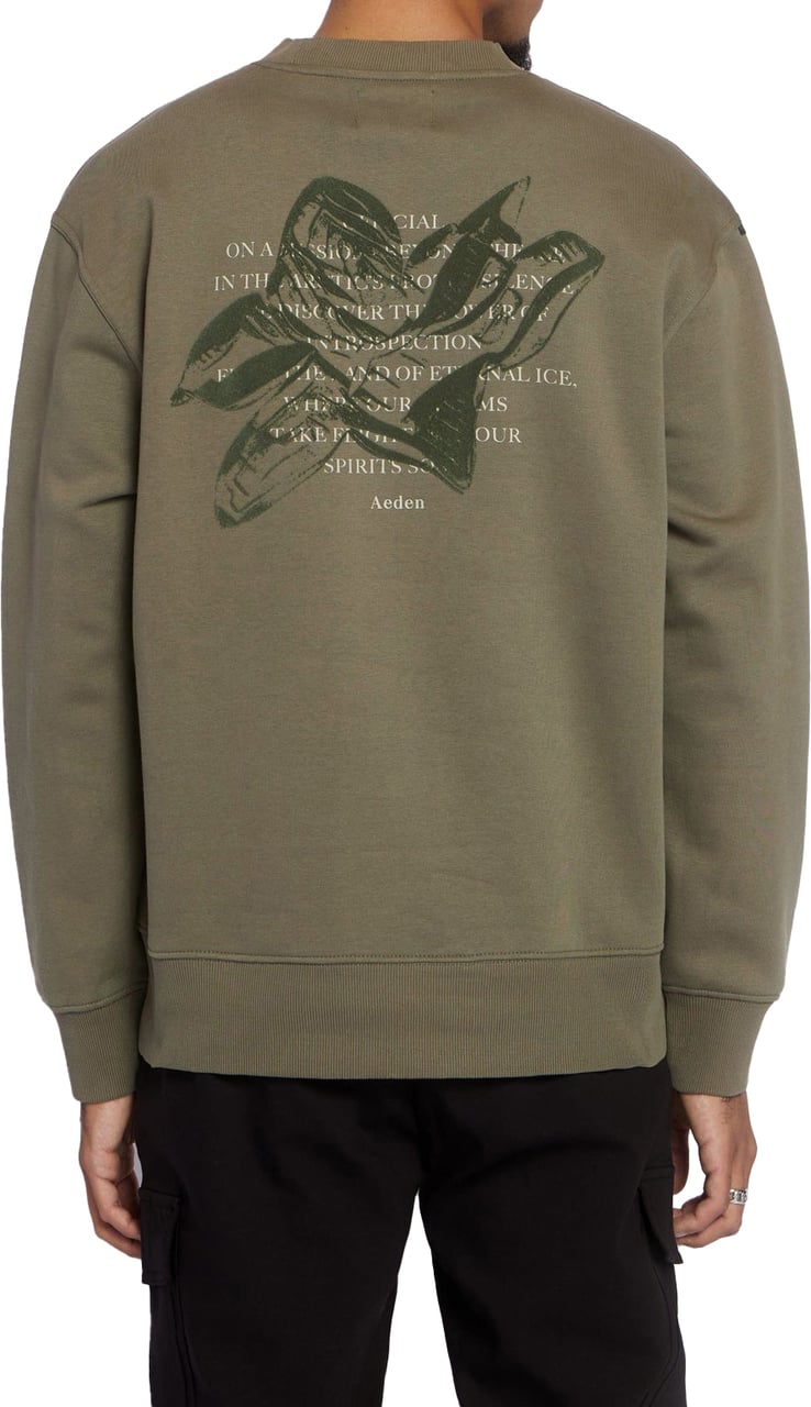 Aeden Viggo Sweater Beetle Green Groen