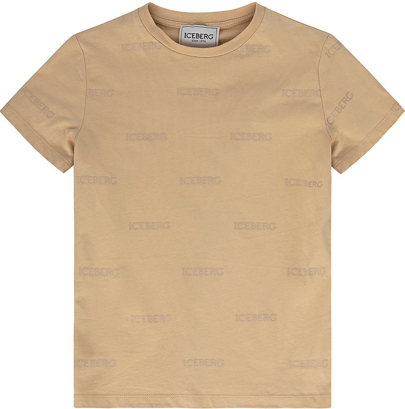 Iceberg T-shirt Bruin