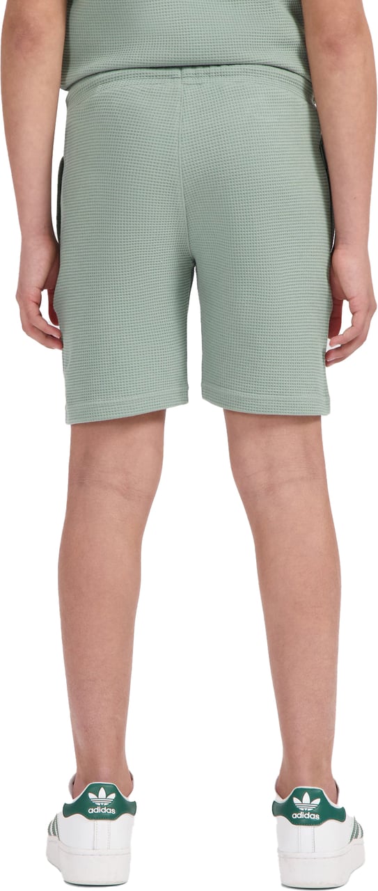 Ballin Amsterdam short Ballin Green Groen
