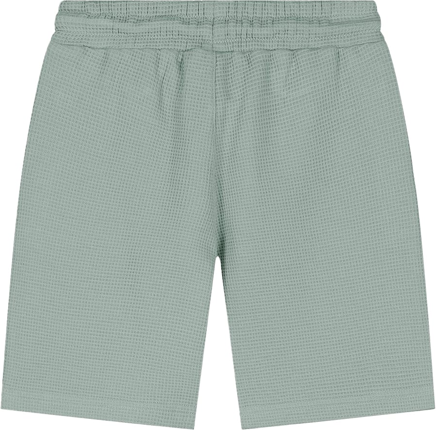 Ballin Amsterdam short Ballin Green Groen