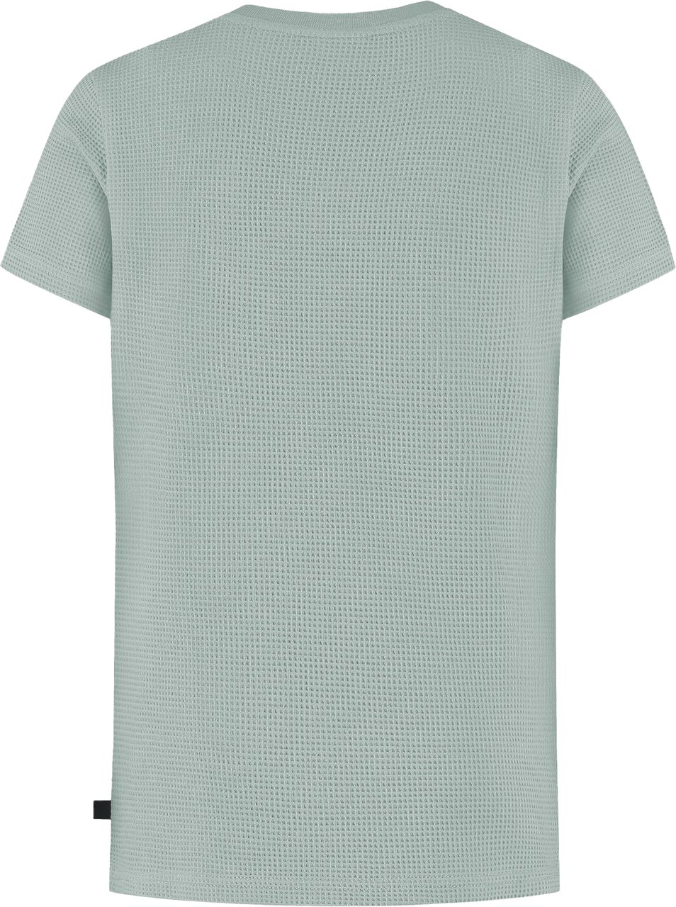 Ballin Amsterdam T-shirt Ballin Green Groen