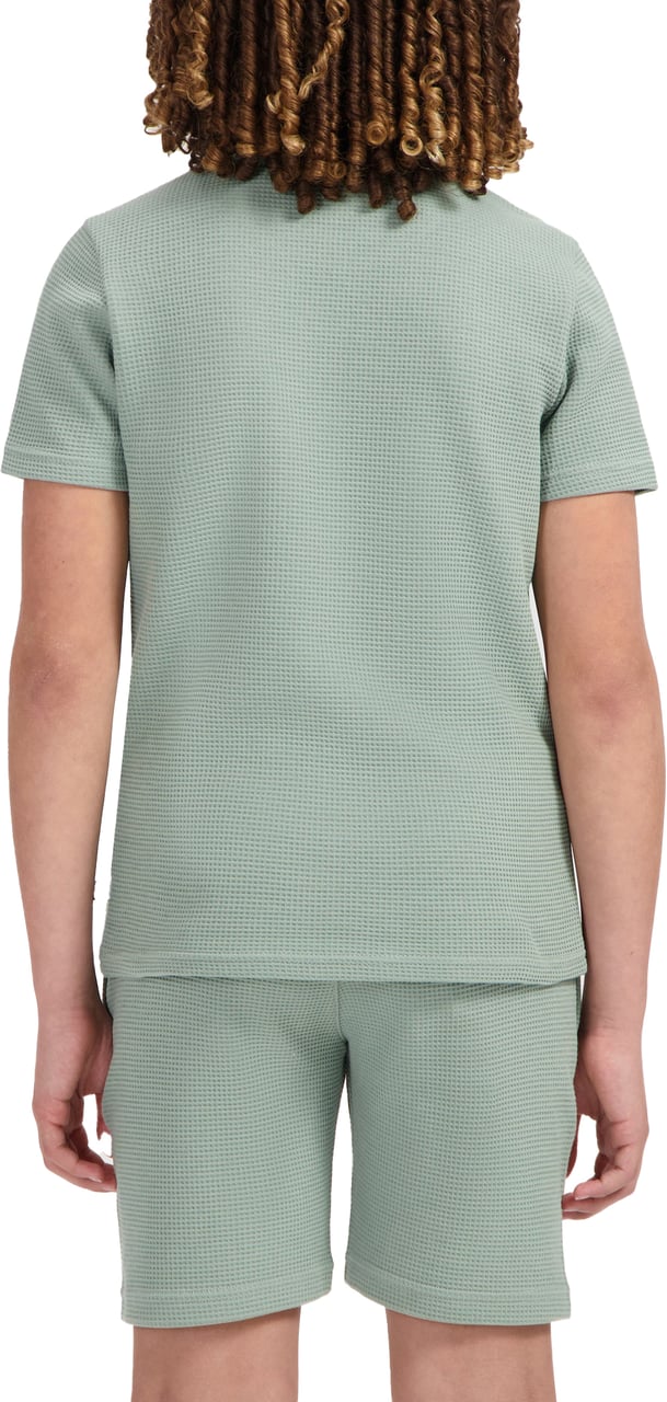 Ballin Amsterdam T-shirt Ballin Green Groen