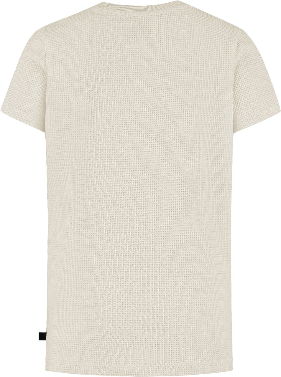 Ballin Amsterdam T-shirt Ballin Sand Bruin