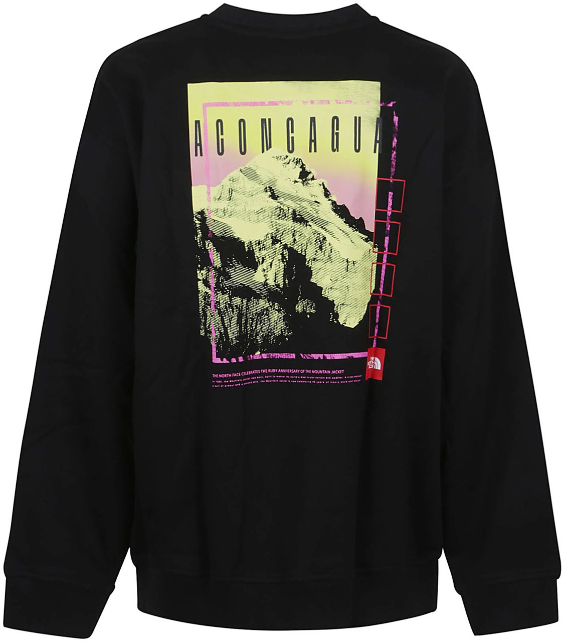 The North Face u axys oversized crew Zwart
