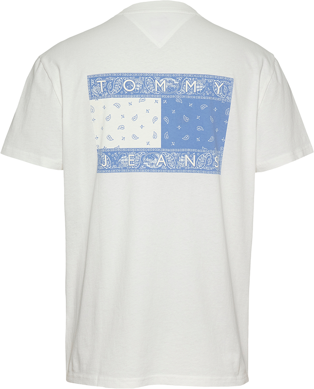 Tommy Jeans Tommy Jeans Reg Paisley Flag Tee Beige