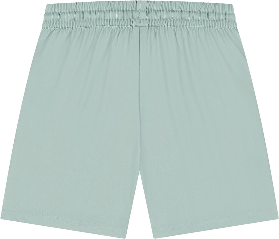 Ballin Amsterdam Swimshort Green Groen