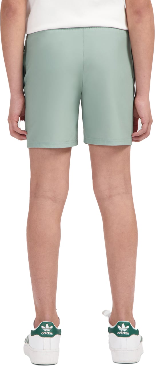 Ballin Amsterdam Swimshort Green Groen