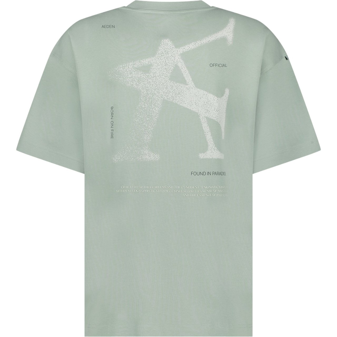 Aeden Heren T-Shirt Groen