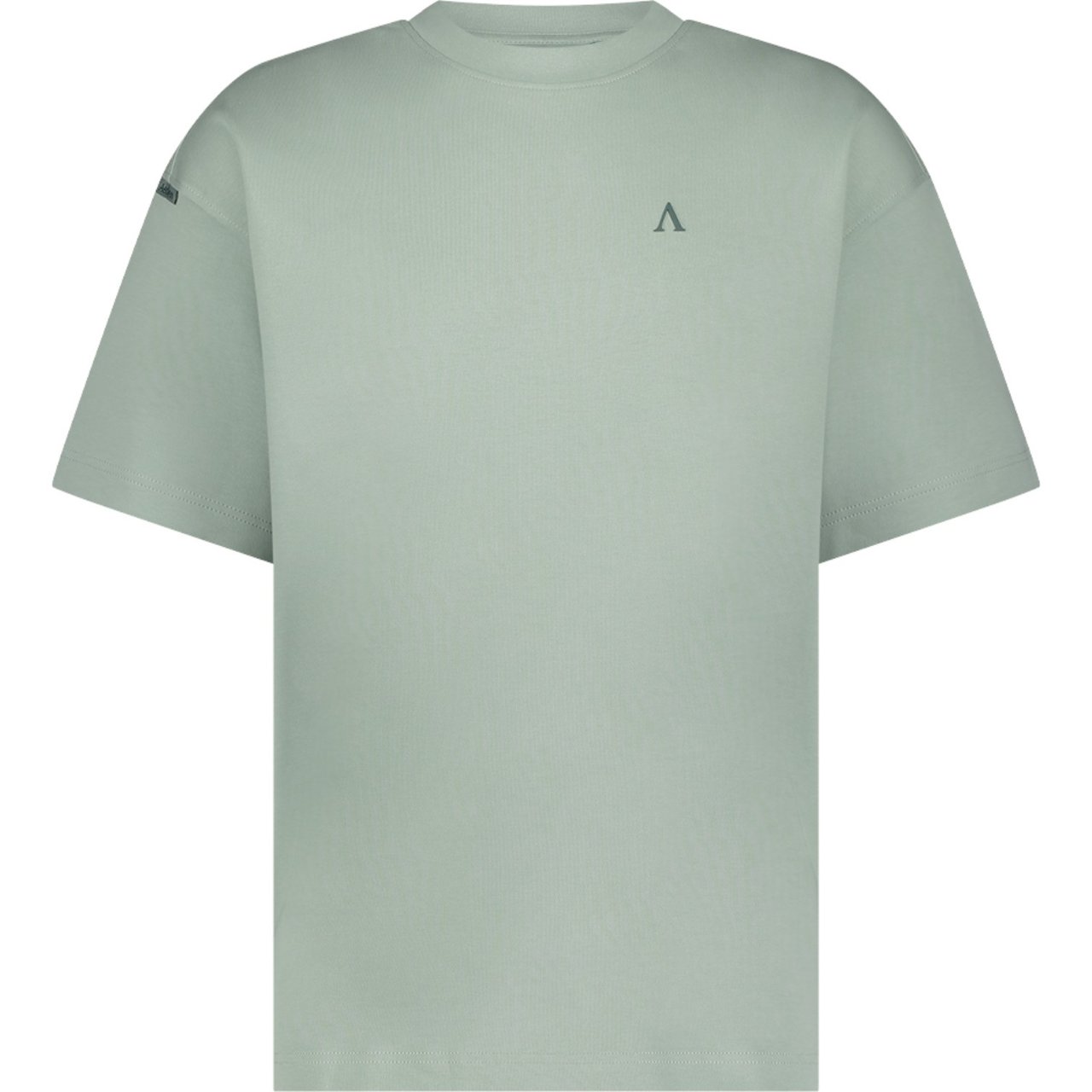 Aeden Heren T-Shirt Groen