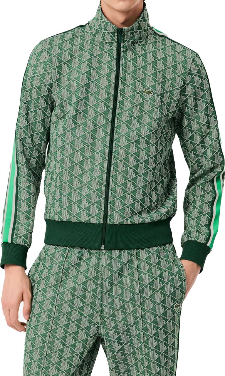 Lacoste Sweaters Green Groen