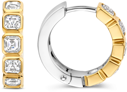 Ti Sento Ti Sento Oorbellen 7965ZY Zilver met Goude Plating en Zirkonia's 16.5mm Divers