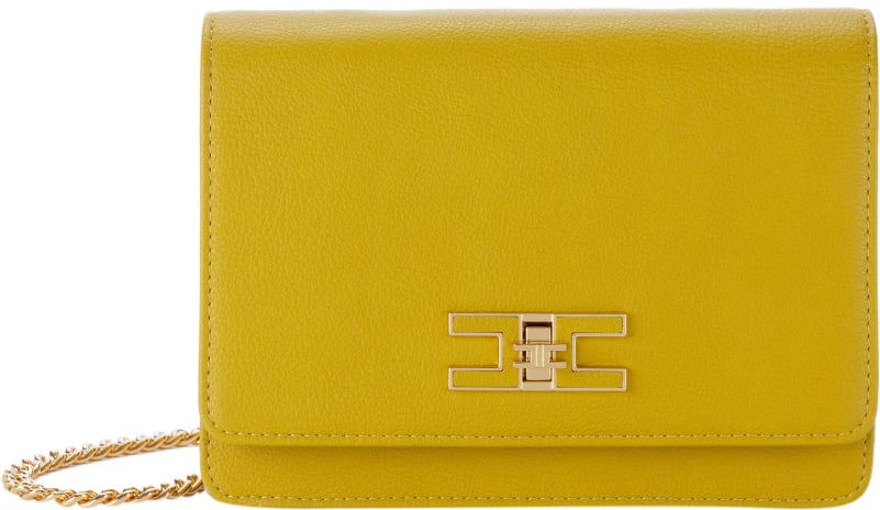 Elisabetta Franchi Bags Curry Geel