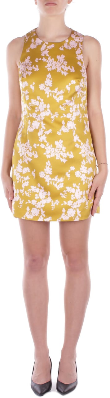 Elisabetta Franchi Dresses Curry Geel