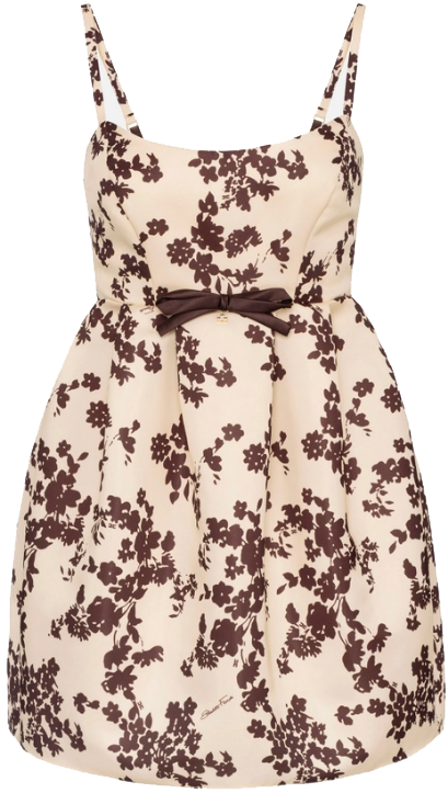 Elisabetta Franchi Dresses Giallocacao Bruin