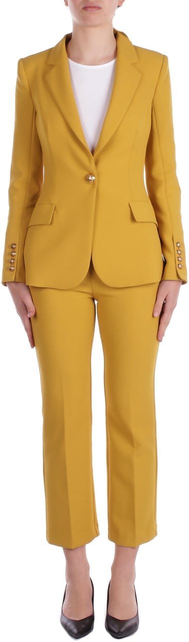 Elisabetta Franchi Dresses Curry Geel