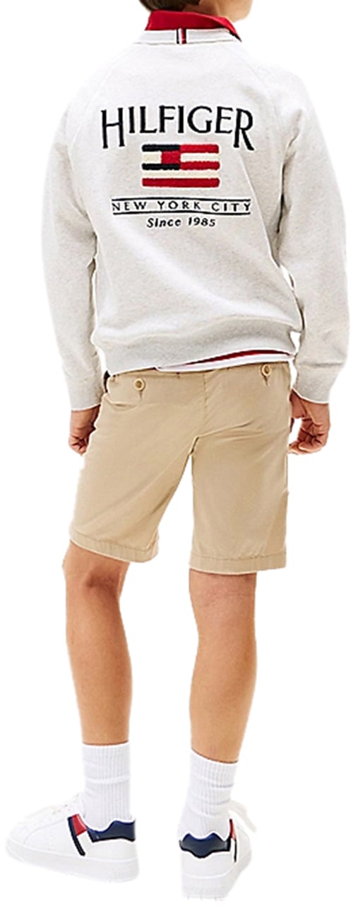 Tommy Hilfiger Hilfiger Flag Relaxed Sweatshirt Wit