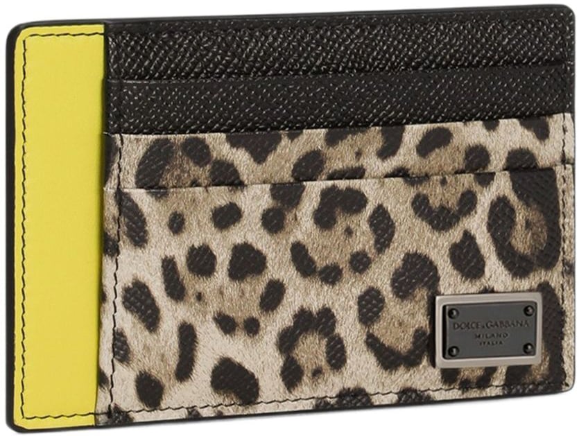 Dolce & Gabbana Bags Brown Bruin