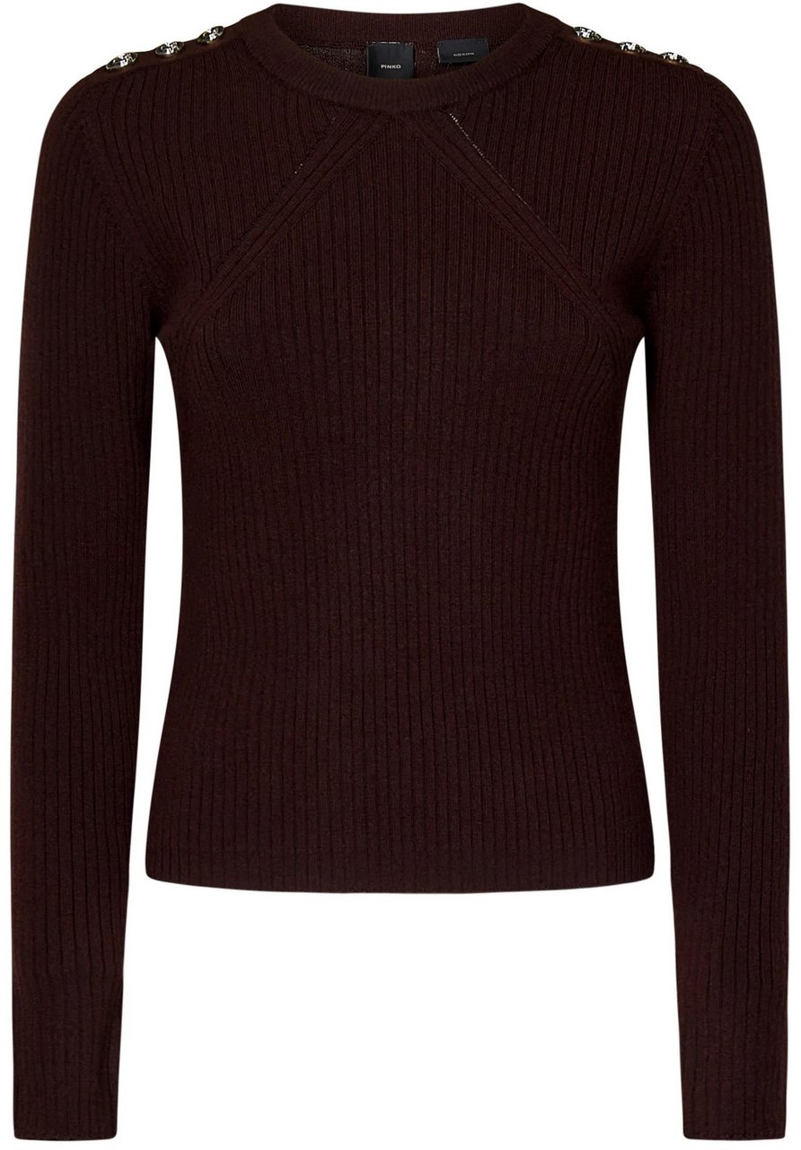 Pinko Sweaters Brown Bruin